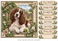 8x8 Springer Spaniel 2 Quick Card Fronts with Sentiments