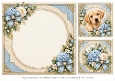 8x8 Labrador Blank Insert