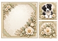 8x8 Border Collie Blank Insert