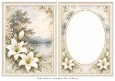 A5 Lily Lake Blank Insert