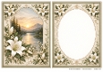 A5 Lily Sunset Blank Insert
