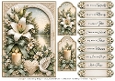 A5 Serene Lily Quick Card Front with Sentiments