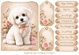 A5 Bichon Frise Quick Card Front with Sentiments 
