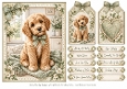 A5 Sage Puppy Quick Card Front with Sentiments 