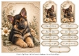 A5 Vintage German Shepherd Quick Card Front with Sentiments