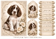 A5 Vintage Spaniel Quick Card Front with Sentiments 