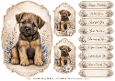A5 Vintage Terrier Quick Card Front with Sentiments