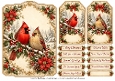 A5 Winter Cardinals - Quick Card Front with Sentiments