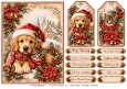 A5 Puppy & Kitten Christmas - Quick Card Front with Sentiments