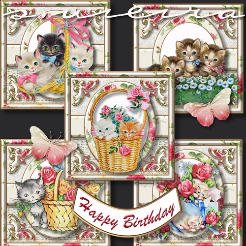 Vintage Cats Bumperkit 