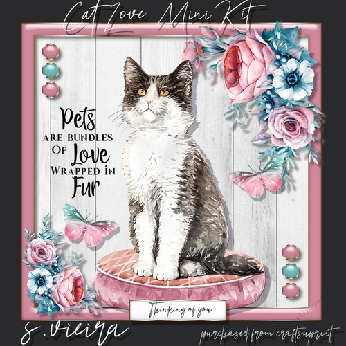 Cat Love 3 