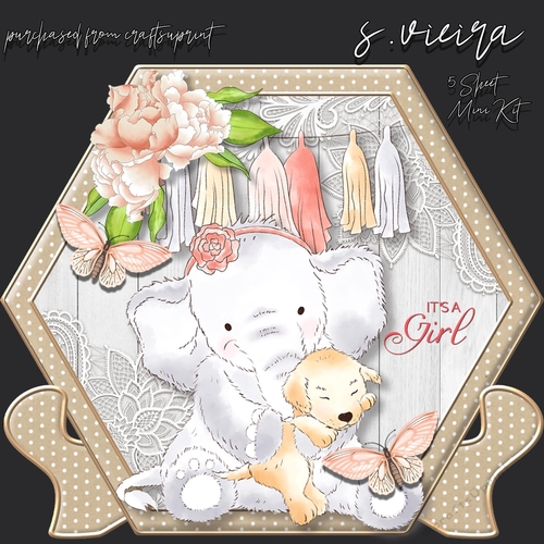 New Baby Girl 1 