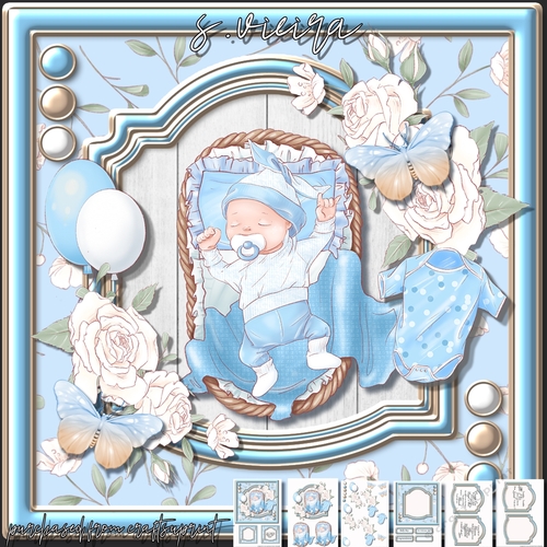 Baby Boy Portrait 2