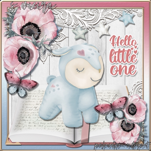 Baby book 1 