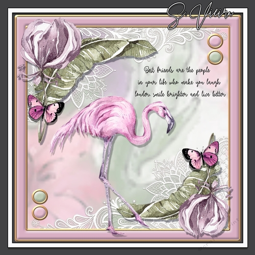 Tropical Birds ONE 