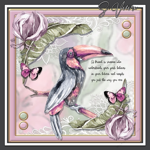 Tropical Birds FOUR 