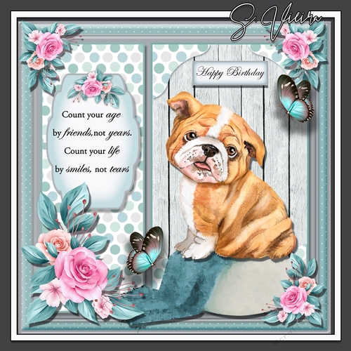 Bull dog 2