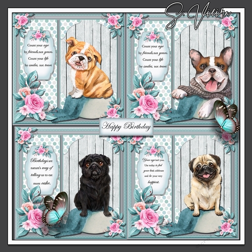 Pug and Bull Dog Bumper 