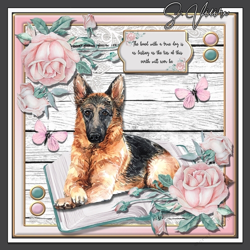 Puppy Love 5 