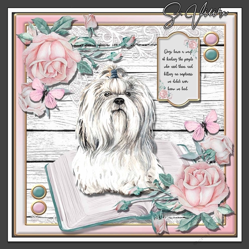 Puppy Love 6