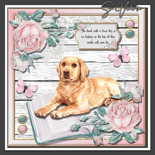 Puppy Love 8
