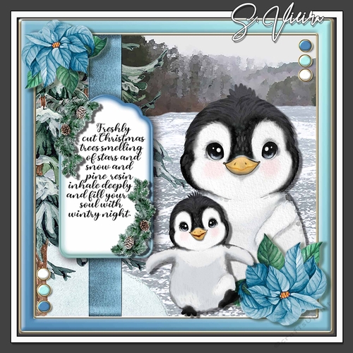 Cute Christmas Penguin 2 