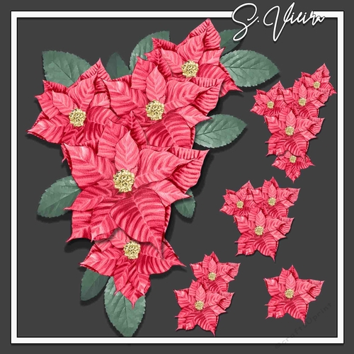 Christmas Palette One poinsettia 1