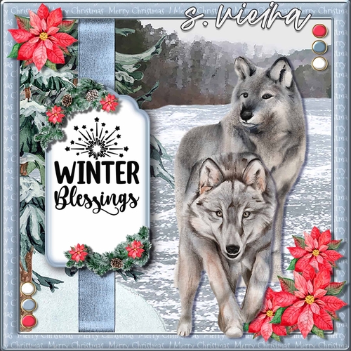 Artic Christmas 1 