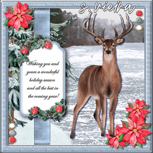 Artic Christmas 3 