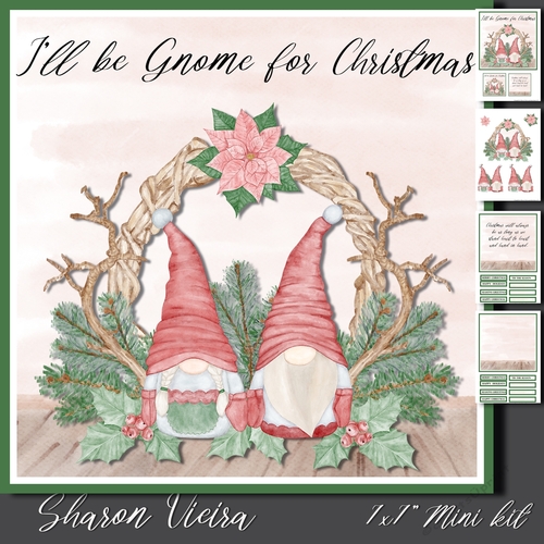 Gnome for Christmas 