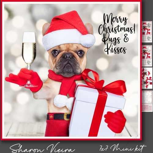 Pugs & Kisses 