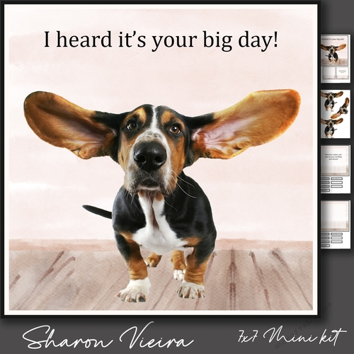 I heard its your big day!
