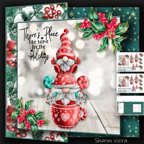 Cute Christmas Gnomes 2