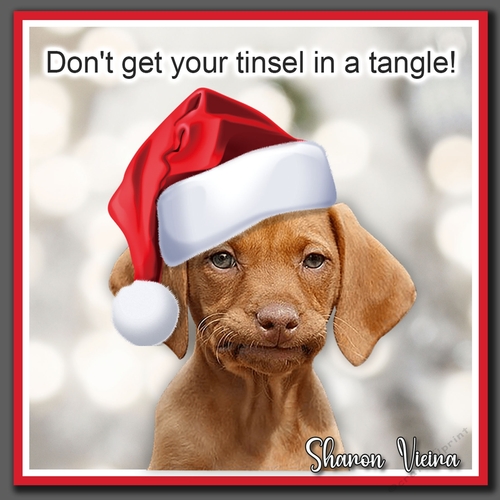 Tinsel in a Tangle 
