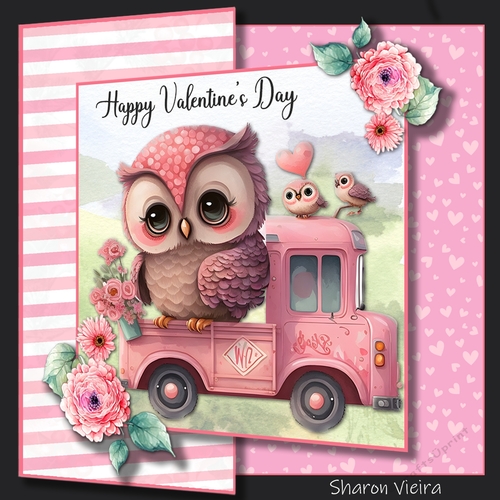 Valentine Owl Truck fold back with Folio option 2