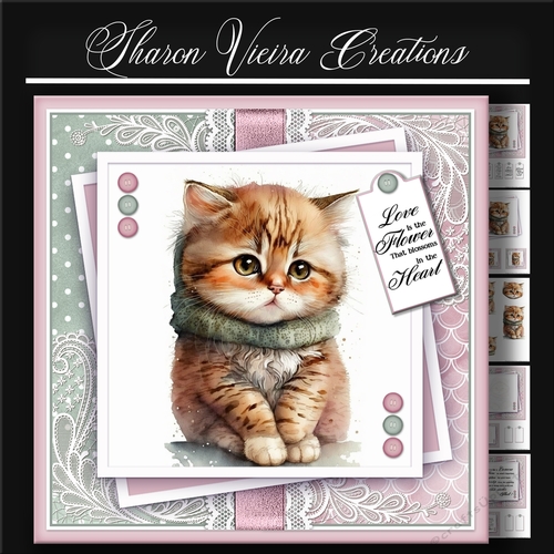 Just a Portrait of a Cute cat KIT-TWO
