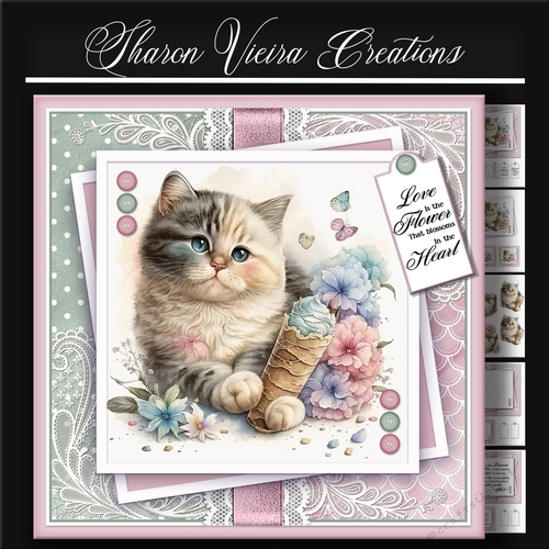 Just a Portrait of a Cute cat KIT-THREE