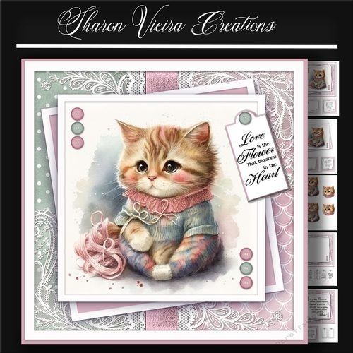 Just a portrait of a cute cat KIT-Four 