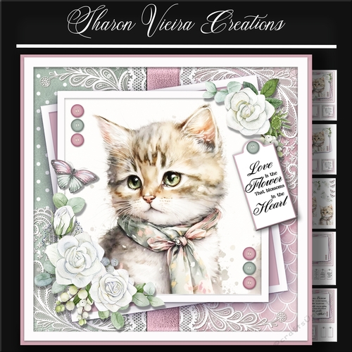 Just a portrait of a cute cat KIT-FIVE 