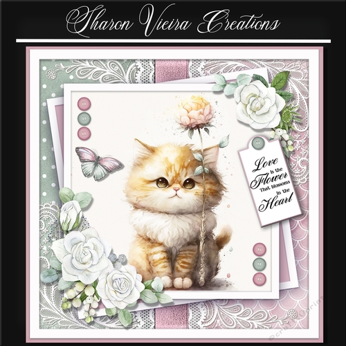 Just a portrait of a cute cat KIT-SIX