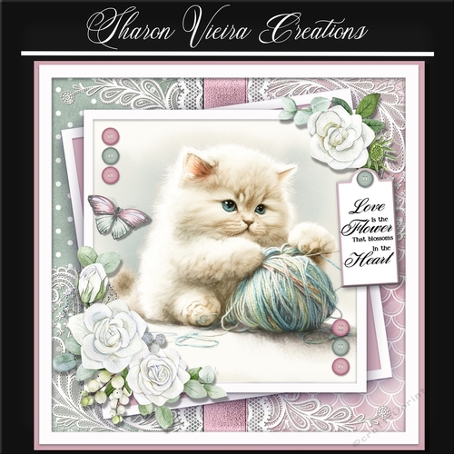 Just a portrait of a cute cat KIT-seven 