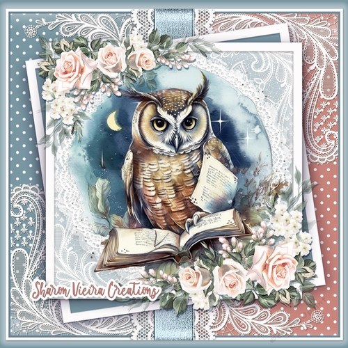 An OWL ANd His Book KIT-ONE 