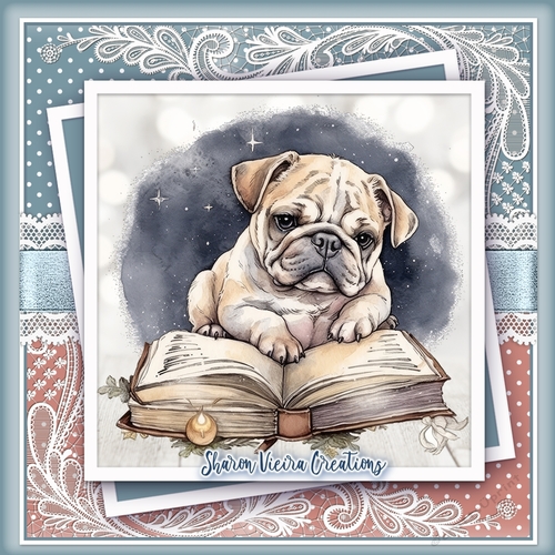 Just a Bulldog and his books KIT-TWO 