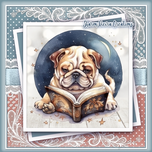 Just a Bulldog and his books KIT-four 