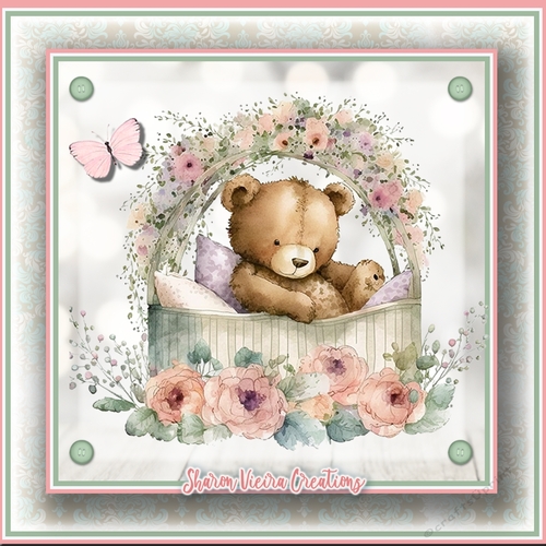 Baby Bear KIT-TWO