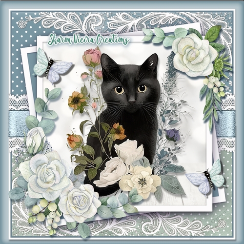 Just a gorgeou black cats KIT- TWO 