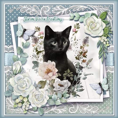 Just a gorgeou black cats KIT- THREE
