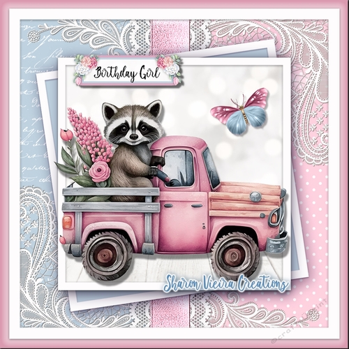 The Pink Raccoon Kit two 