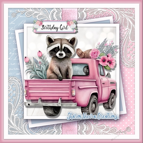 The Pink Raccoon Kit three