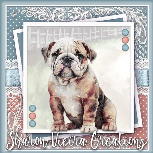 The Cute Bulldog KIT ONE